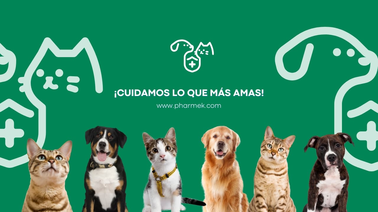 Pharmek portada
